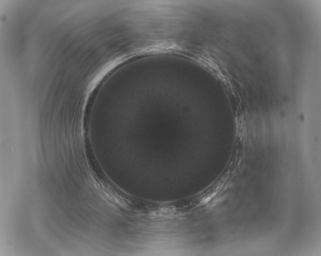 X0000070860196200606161149