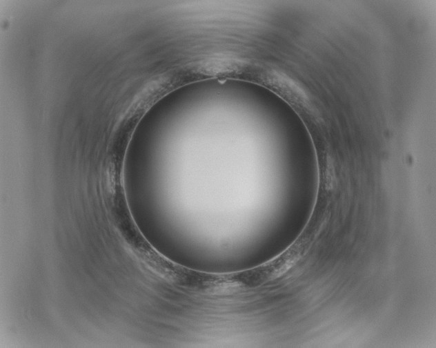 X0000070860210200606161149