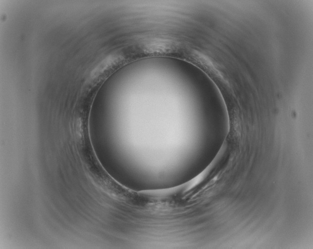 X0000070860211200606161149