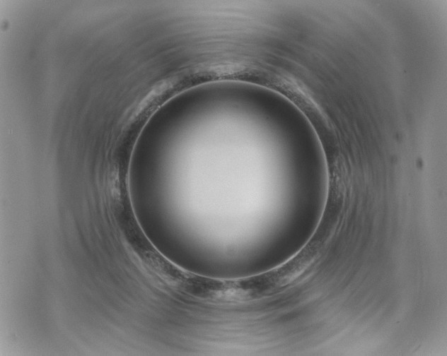 X0000070860212200606161149