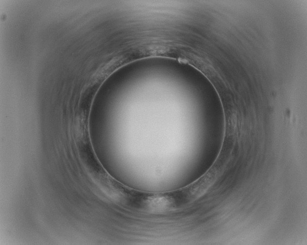 X0000070860218200606161148