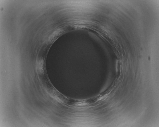 X0000070860219200606161148