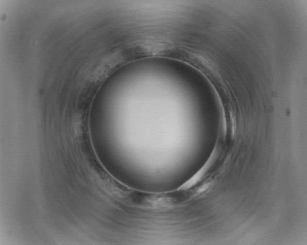 X0000070860221200606161148