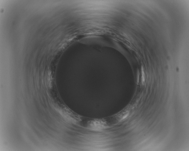 X0000070860223200606161148