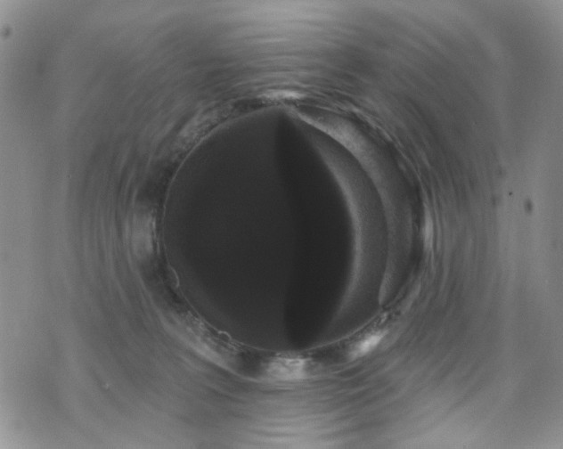 X0000070860227200606161148
