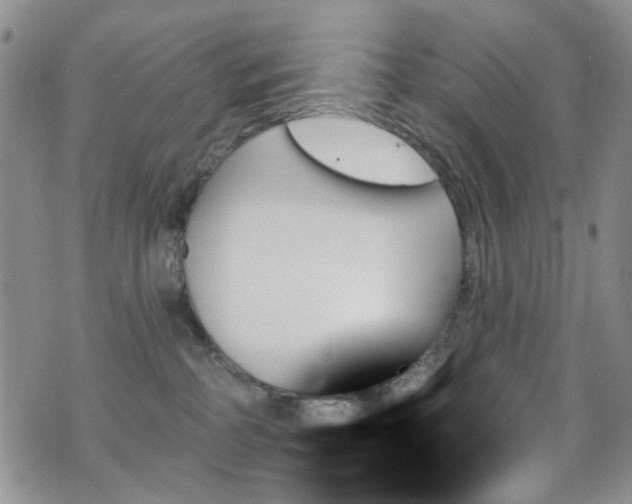 X0000070860234200606161148