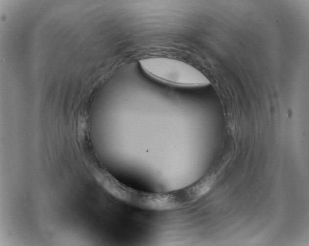 X0000070860235200606161148
