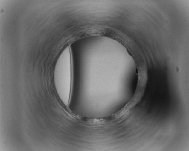 X0000070860239200606161148
