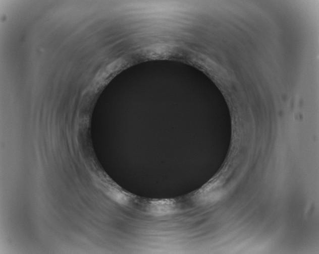 X0000070860240200606161148