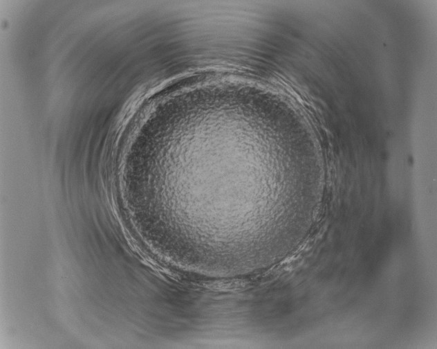 X0000070860241200606161147
