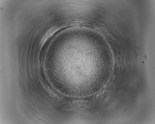 X0000070860242200606161147