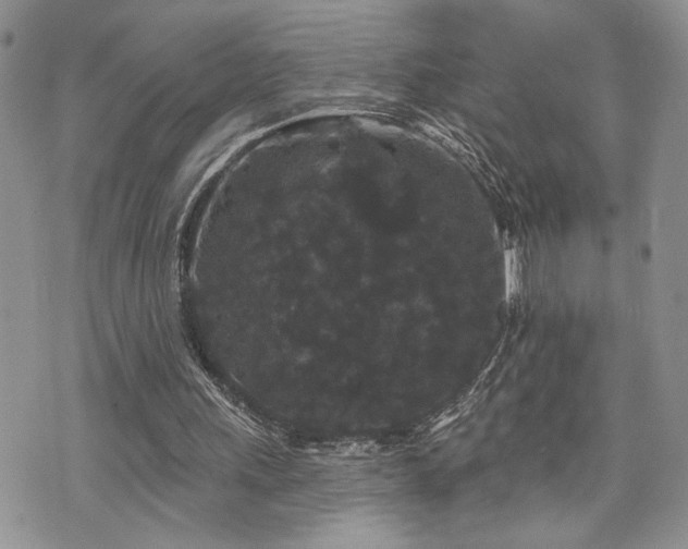 X0000070860243200606161147