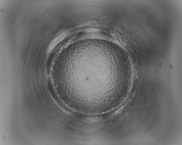 X0000070860245200606161147