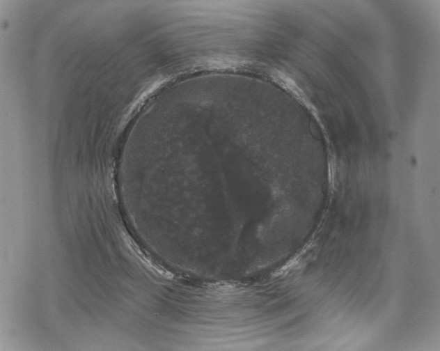 X0000070860249200606161147
