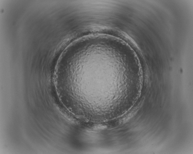 X0000070860257200606161148