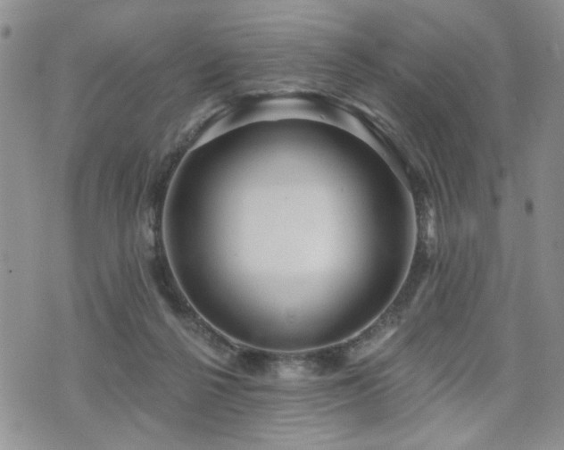 X0000070860264200606161148