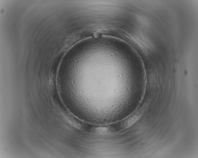 X0000070860265200606161148
