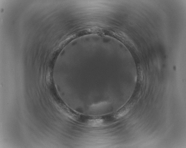 X0000070860266200606161148