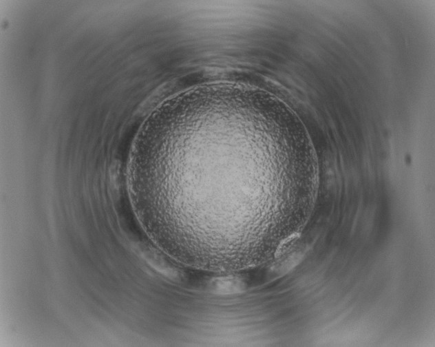 X0000070860275200606161148