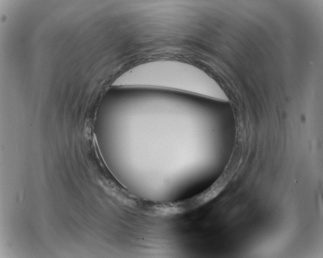 X0000070860284200606161148