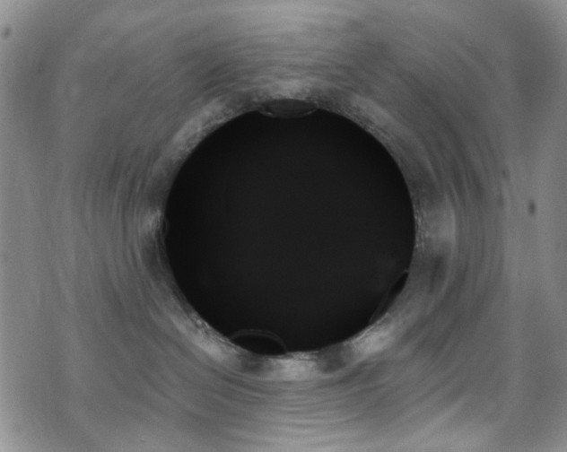 X0000070860286200606161148