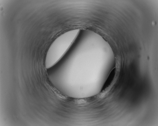 X0000070860287200606161148