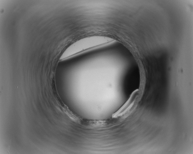 X0000070860288200606161148