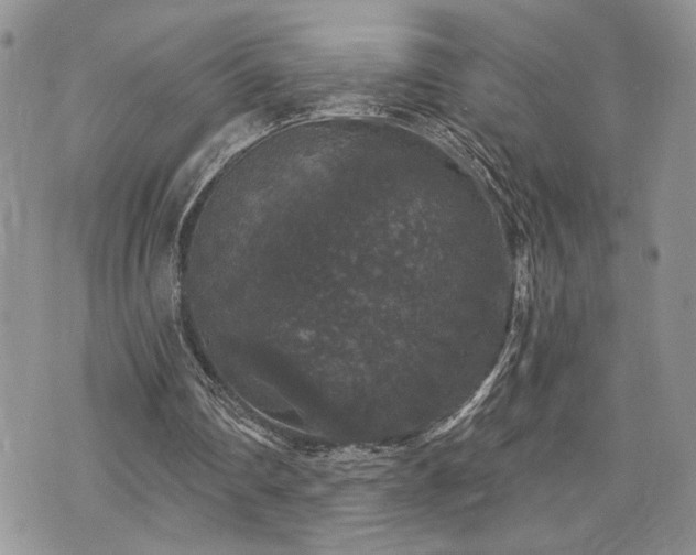 X0000070860290200606161147