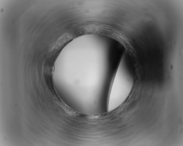X0000070860333200606161147