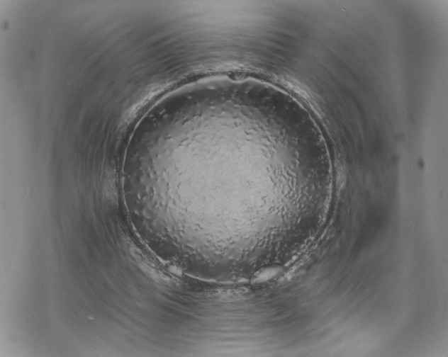 X0000070860345200606161146