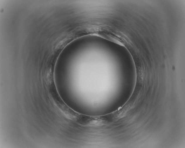 X0000070860364200606161146