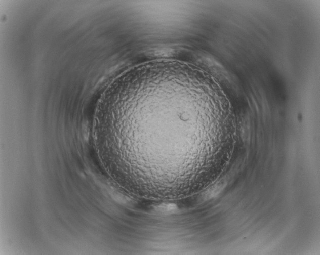 X0000070860374200606161146