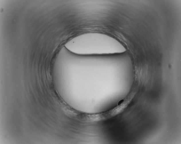 X0000070860377200606161146
