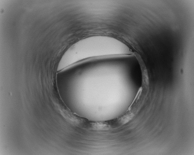 X0000070860380200606161146
