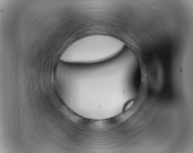 X0000070860382200606161146