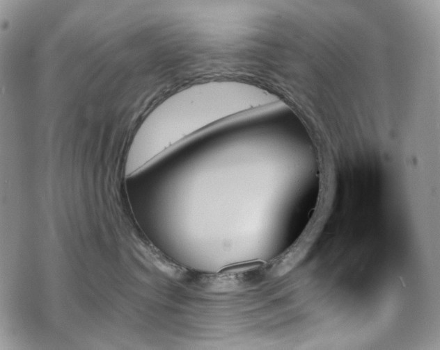 X0000070860384200606161146