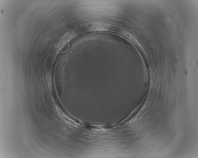 X0000070860386200606161146