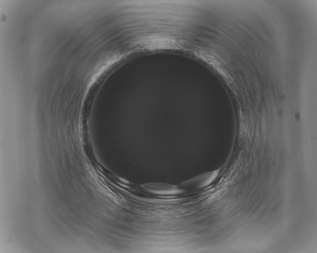 X0000070860391200606161146