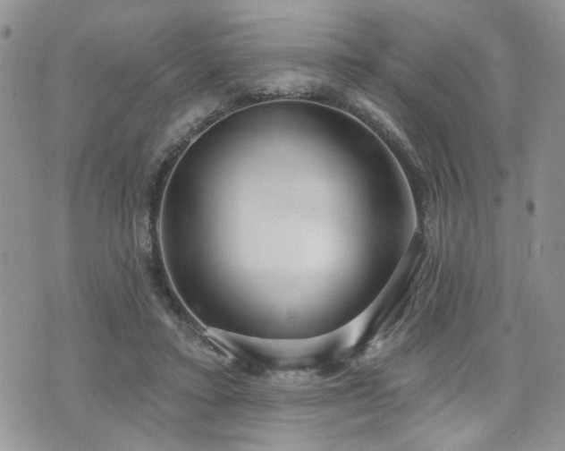 X0000070860403200606161145