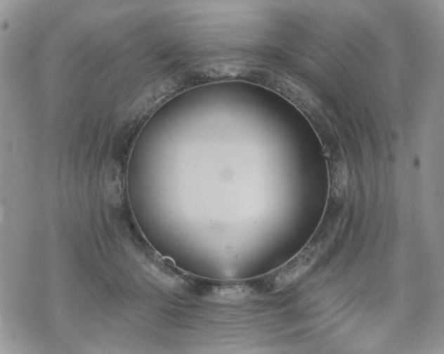 X0000070860414200606161145