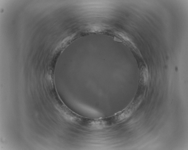 X0000070860415200606161145