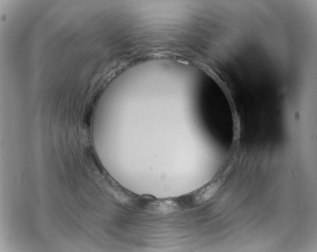 X0000070860427200606161145