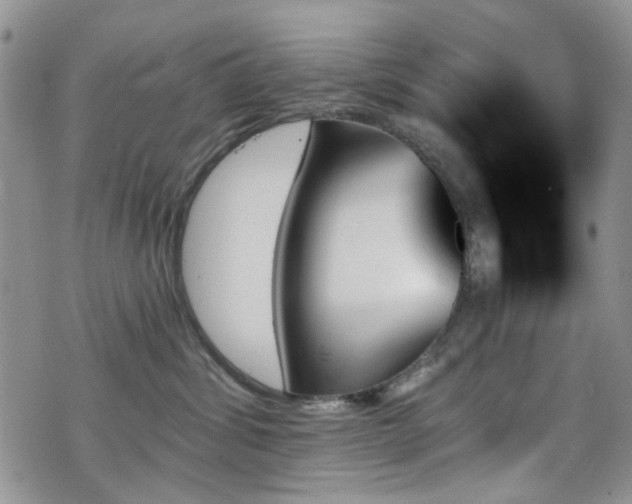 X0000070860428200606161145