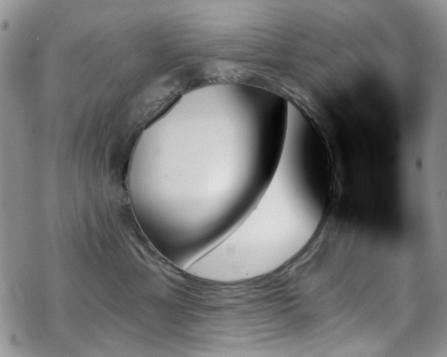 X0000070860429200606161145