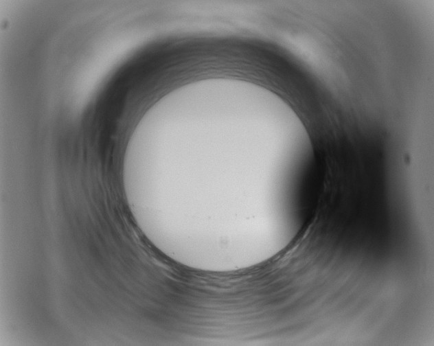 X0000070860431200606161145