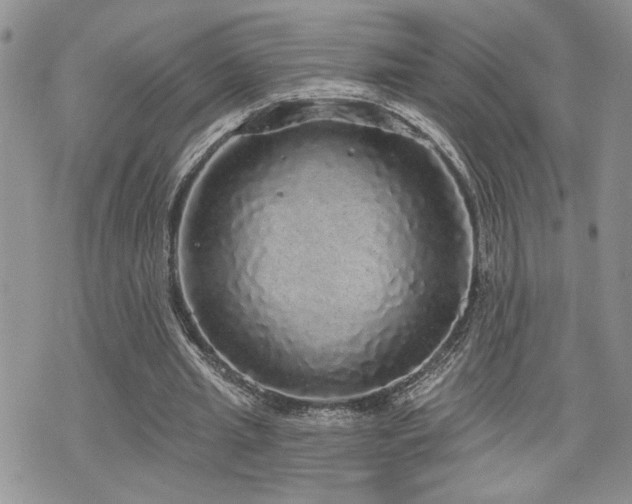 X0000070860437200606161144