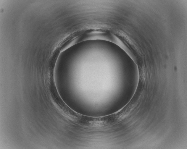 X0000070860448200606161144
