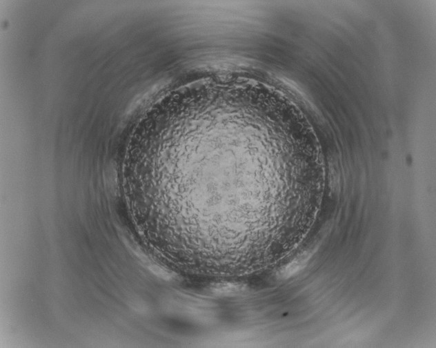 X0000070860453200606161144