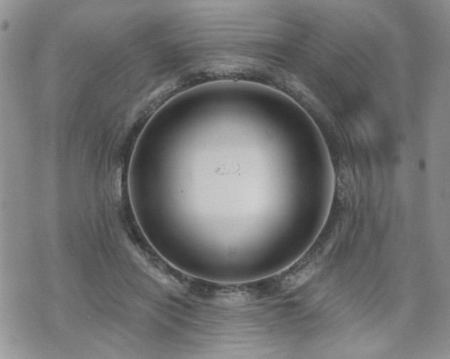 X0000070860454200606161144