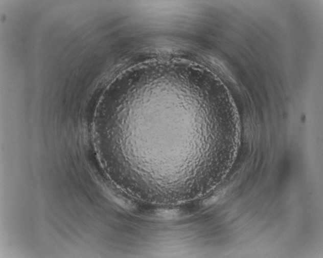 X0000070860457200606161144